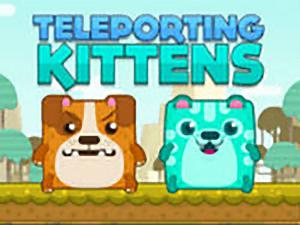 Play Teleporting Kittens